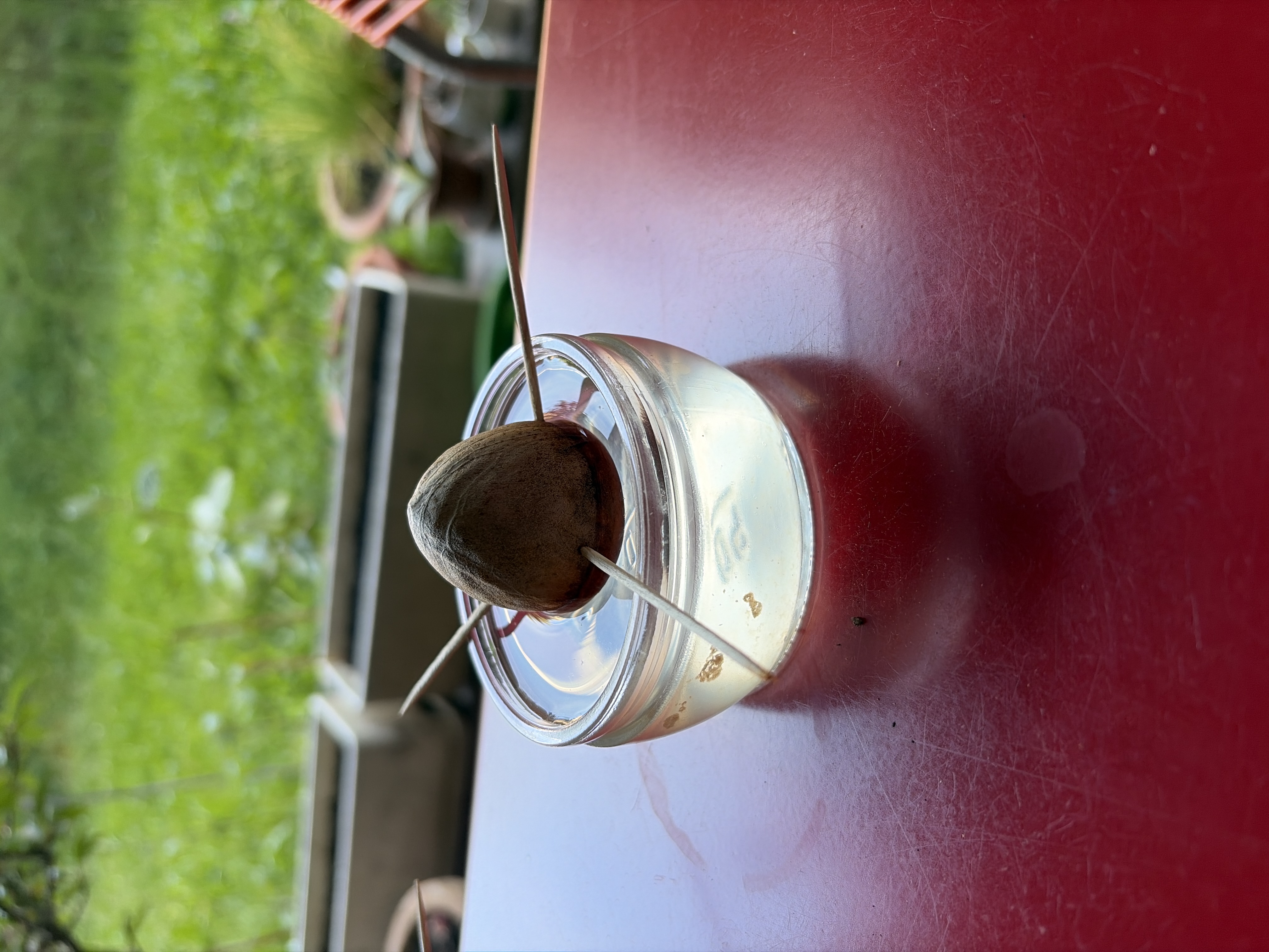 Foto vom 22. Mai 2026