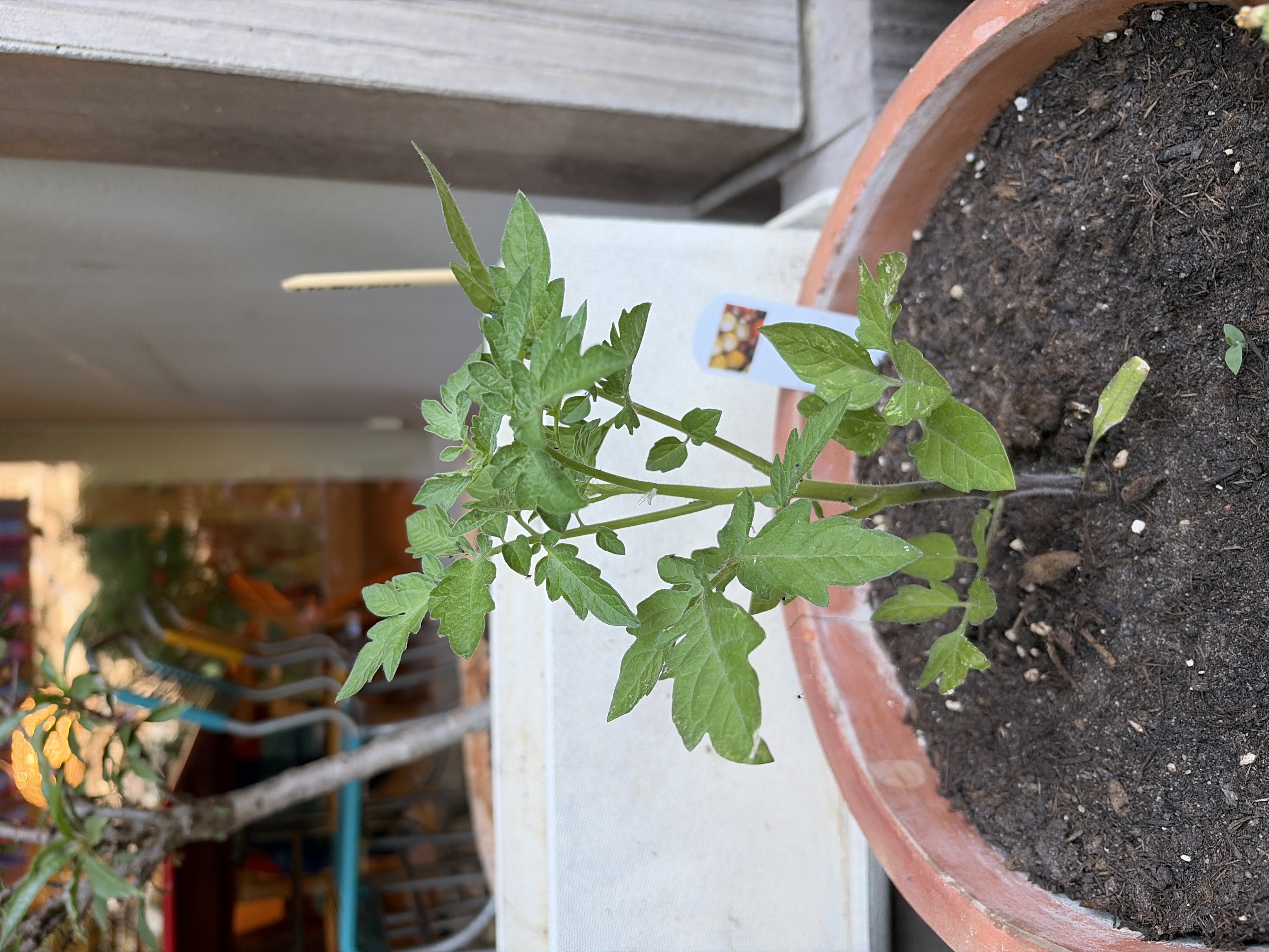 Foto vom 26. Mai 2026