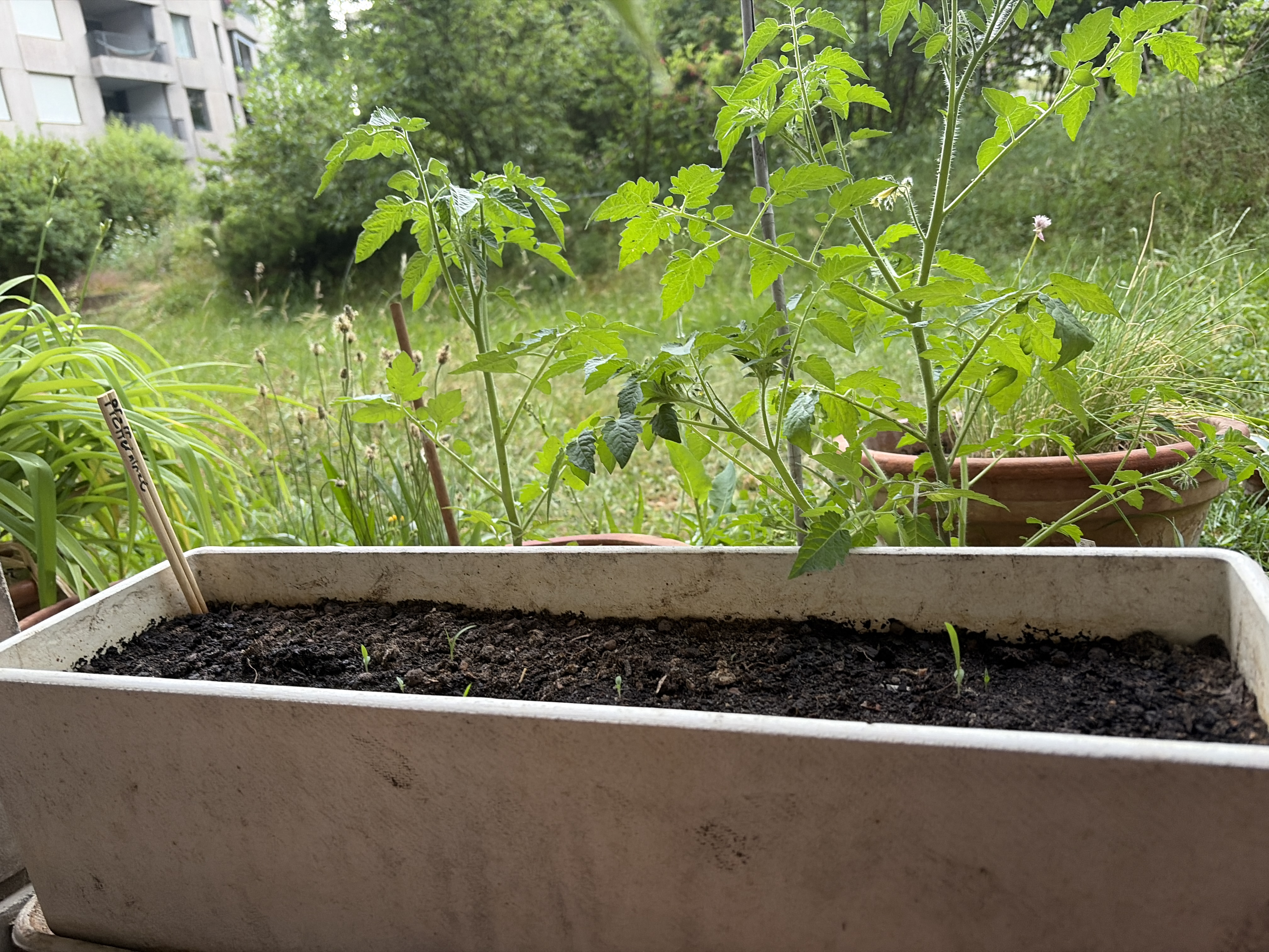 Foto vom 31. Mai 2026